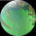 ./images/calvert/underwater/20260608/underwater20260608_153501M.jpg