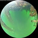 ./images/calvert/underwater/20260608/underwater20260608_154501M.jpg