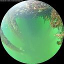 ./images/calvert/underwater/20260608/underwater20260608_155001M.jpg