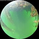 ./images/calvert/underwater/20260608/underwater20260608_155501M.jpg