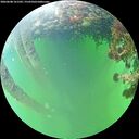 ./images/calvert/underwater/20260608/underwater20260608_161502M.jpg