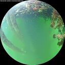 ./images/calvert/underwater/20260608/underwater20260608_162002M.jpg