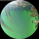 ./images/calvert/underwater/20260608/underwater20260608_163002M.jpg