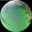 ./images/calvert/underwater/20260608/underwater20260608_163501M.jpg