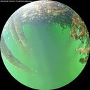 ./images/calvert/underwater/20260608/underwater20260608_165501M.jpg