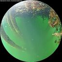 ./images/calvert/underwater/20260608/underwater20260608_170501M.jpg