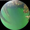 ./images/calvert/underwater/20260608/underwater20260608_171001M.jpg