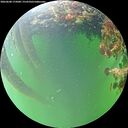 ./images/calvert/underwater/20260608/underwater20260608_172001M.jpg