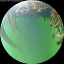 ./images/calvert/underwater/20260608/underwater20260608_173001M.jpg