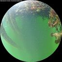 ./images/calvert/underwater/20260608/underwater20260608_173501M.jpg