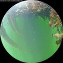 ./images/calvert/underwater/20260608/underwater20260608_174501M.jpg