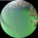 ./images/calvert/underwater/20260608/underwater20260608_175501M.jpg