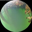 ./images/calvert/underwater/20260608/underwater20260608_182501M.jpg