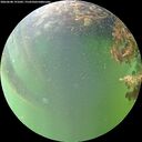 ./images/calvert/underwater/20260608/underwater20260608_191001M.jpg