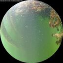 ./images/calvert/underwater/20260608/underwater20260608_191502M.jpg