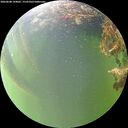 ./images/calvert/underwater/20260608/underwater20260608_194001M.jpg