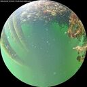./images/calvert/underwater/20260608/underwater20260608_195501M.jpg