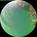 ./images/calvert/underwater/20260608/underwater20260608_201002M.jpg