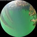 ./images/calvert/underwater/20260608/underwater20260608_201501M.jpg