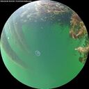 ./images/calvert/underwater/20260608/underwater20260608_202501M.jpg