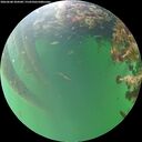 ./images/calvert/underwater/20260608/underwater20260608_204501M.jpg