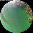 ./images/calvert/underwater/20260608/underwater20260608_205002M.jpg