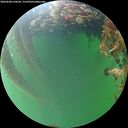 ./images/calvert/underwater/20260608/underwater20260608_210501M.jpg