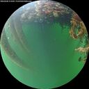 ./images/calvert/underwater/20260608/underwater20260608_211001M.jpg