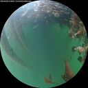 ./images/calvert/underwater/20260608/underwater20260608_213001M.jpg