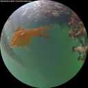 ./images/calvert/underwater/20260608/underwater20260608_214001M.jpg