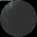 ./images/calvert/underwater/20260609/underwater20260609_042501M.jpg