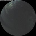./images/calvert/underwater/20260609/underwater20260609_043502M.jpg