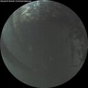 ./images/calvert/underwater/20260609/underwater20260609_044501M.jpg