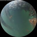./images/calvert/underwater/20260609/underwater20260609_051501M.jpg