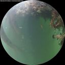 ./images/calvert/underwater/20260609/underwater20260609_054001M.jpg