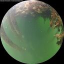 ./images/calvert/underwater/20260609/underwater20260609_060501M.jpg