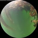 ./images/calvert/underwater/20260609/underwater20260609_061501M.jpg