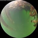 ./images/calvert/underwater/20260609/underwater20260609_062001M.jpg