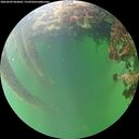 ./images/calvert/underwater/20260609/underwater20260609_064001M.jpg