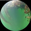 ./images/calvert/underwater/20260609/underwater20260609_064501M.jpg