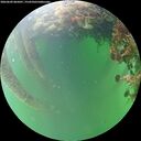 ./images/calvert/underwater/20260609/underwater20260609_065001M.jpg