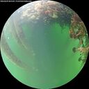 ./images/calvert/underwater/20260609/underwater20260609_065501M.jpg
