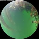 ./images/calvert/underwater/20260609/underwater20260609_071501M.jpg