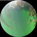 ./images/calvert/underwater/20260609/underwater20260609_072002M.jpg
