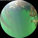 ./images/calvert/underwater/20260609/underwater20260609_073501M.jpg