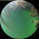 ./images/calvert/underwater/20260609/underwater20260609_074502M.jpg