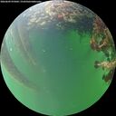 ./images/calvert/underwater/20260609/underwater20260609_075002M.jpg