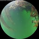 ./images/calvert/underwater/20260609/underwater20260609_075501M.jpg