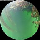 ./images/calvert/underwater/20260609/underwater20260609_080002M.jpg