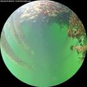./images/calvert/underwater/20260609/underwater20260609_080501M.jpg